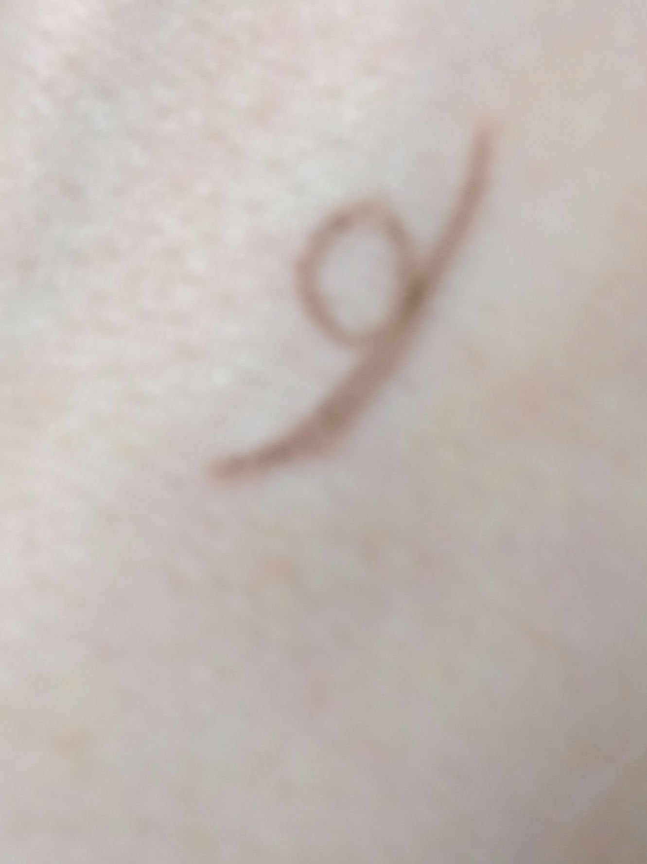 スリムスケッチアイブロウペンシル/U R GLAM/アイブロウペンシルを使ったクチコミ(4枚目)