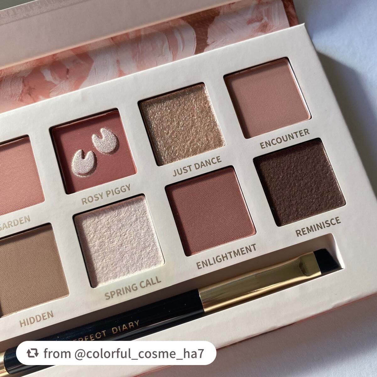 エクスプローラ12色 動物アイシャドウパレット/PERFECT DIARY/アイシャドウパレットを使ったクチコミ(5枚目)