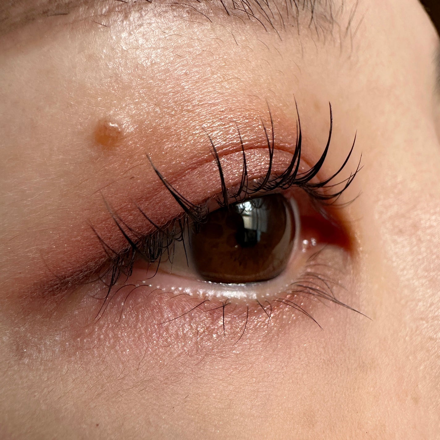 スティロ ユー ウォータープルーフ N/CHANEL/ペンシルアイライナーを使ったクチコミ(2枚目)