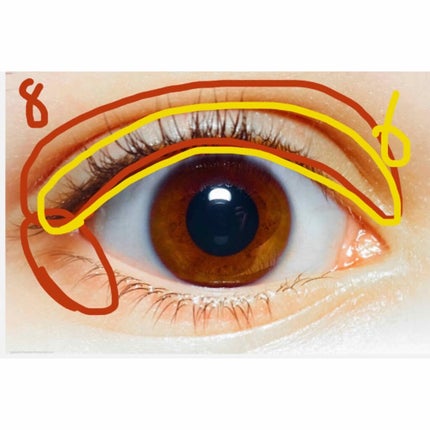 UR GLAM BLOOMING EYE COLOR PALETTE/U R GLAM/アイシャドウパレットを使ったクチコミ(4枚目)