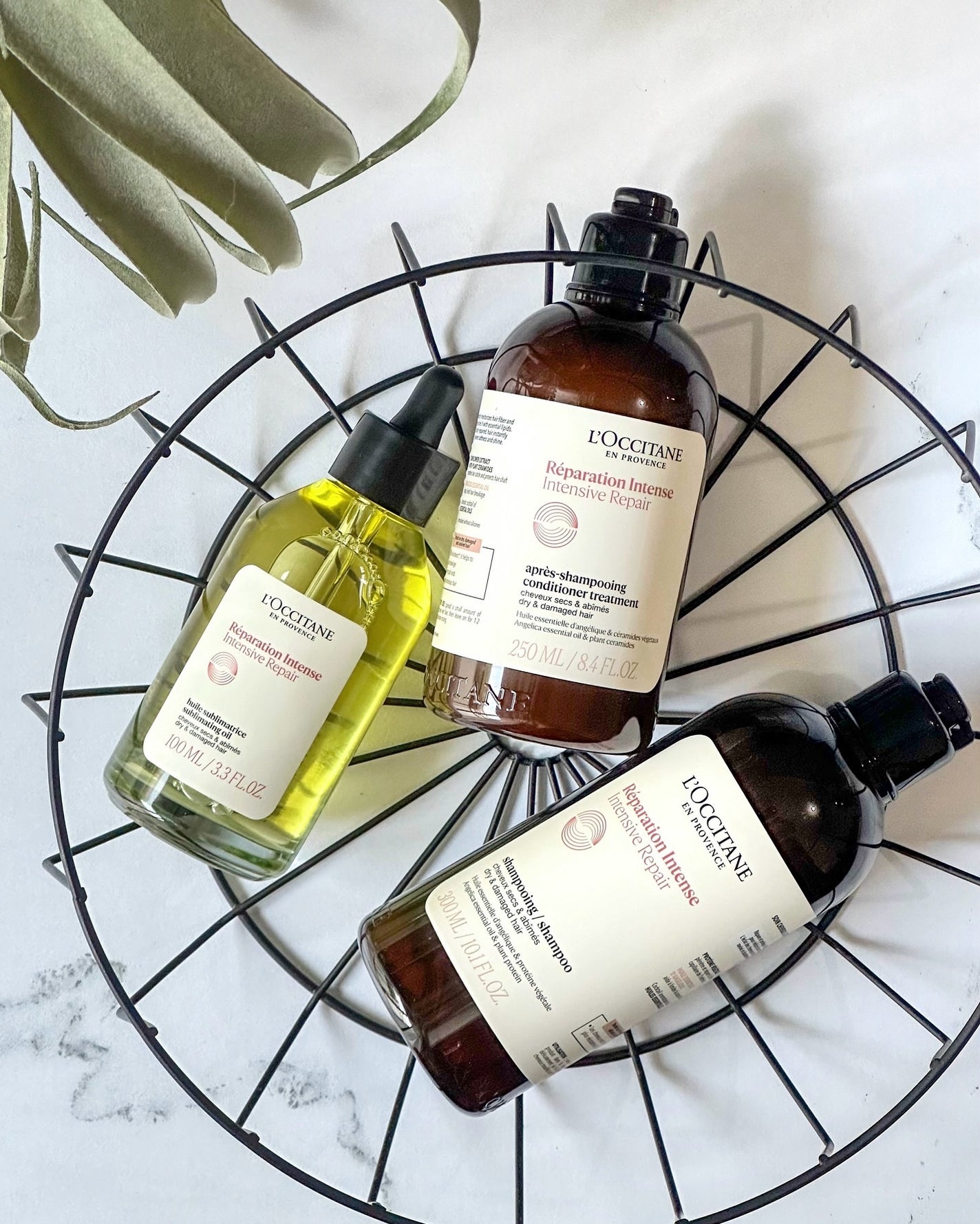 インテンシヴリペア シャンプー/コンディショナー/L'OCCITANE/市販シャンプーを使ったクチコミ(1枚目)