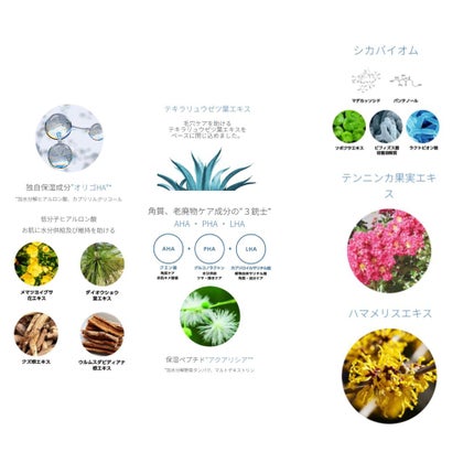 パーフェクト ポア プログラム/LAVIEN/その他スキンケアを使ったクチコミ(8枚目)