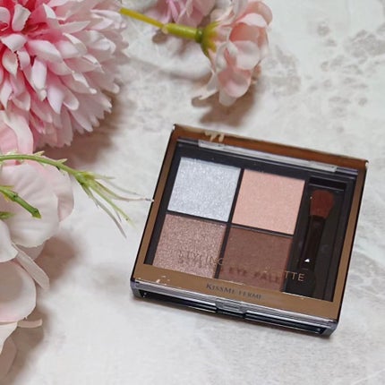 キスミー フェルム スタイリングアイパレット/キスミー フェルム/アイシャドウパレットを使ったクチコミ(3枚目)