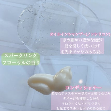 オイルインシャンプー/オイルインコンディショナー (グロス&リペア)/ディアボーテ/市販シャンプーを使ったクチコミ(2枚目)