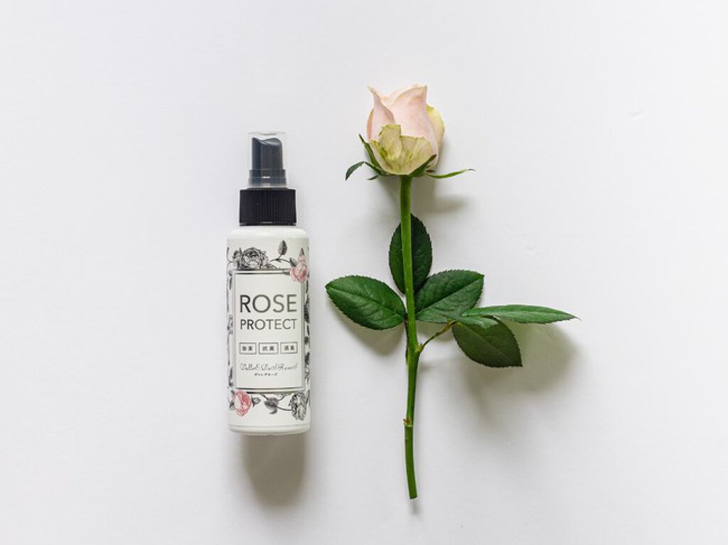 ローズプロテクト
