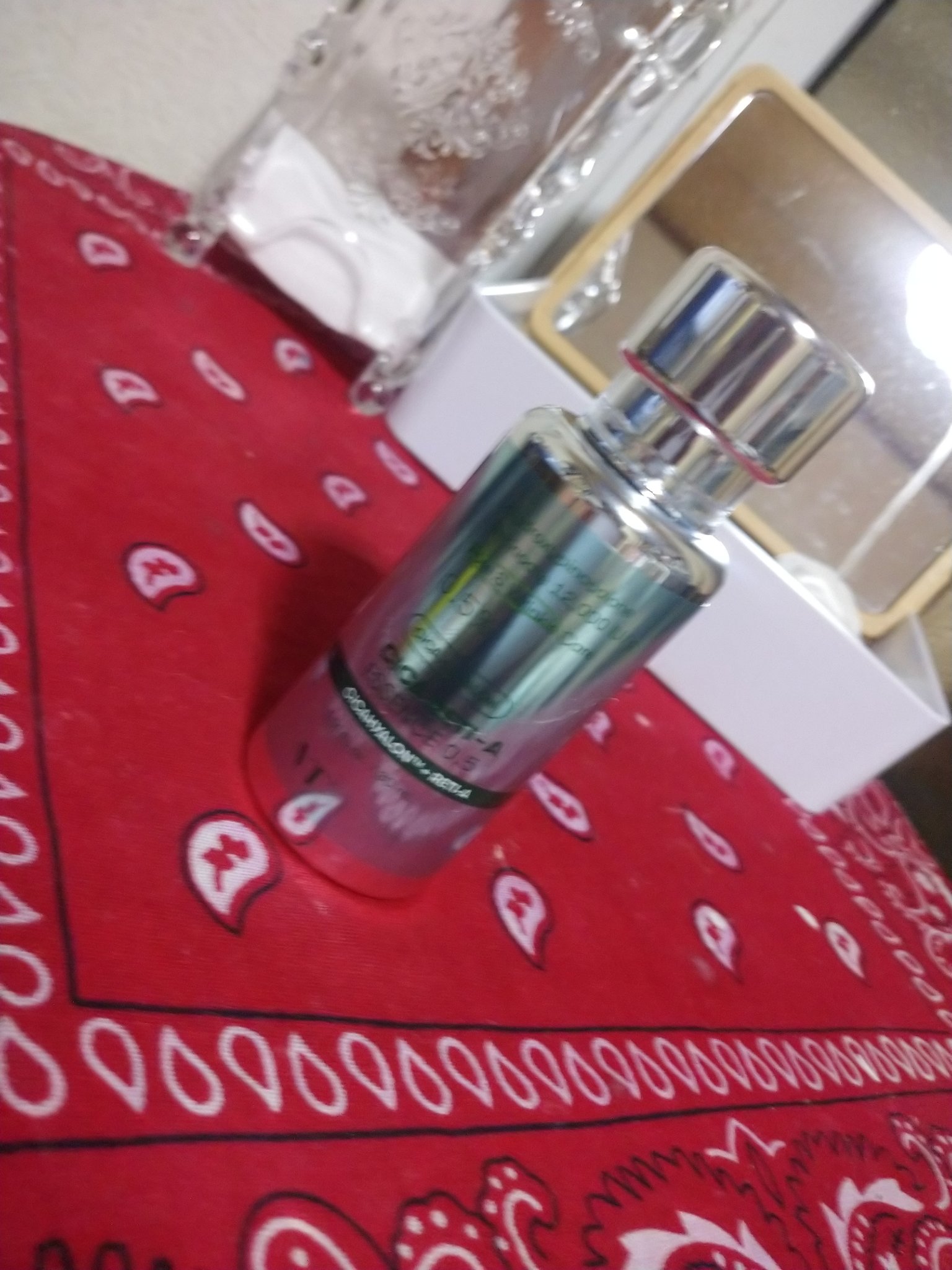 シカレチA エッセンス0.5/VT/美容液を使ったクチコミ（2枚目）