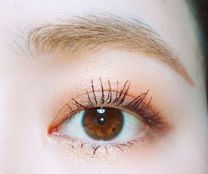 トーンアップアイシャドウ/CEZANNE/アイシャドウパレットを使ったクチコミ(1枚目)