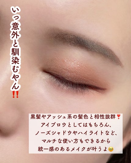 ヴィセ リシェ アイブロウパウダー/Visée/パウダーアイブロウを使ったクチコミ(5枚目)