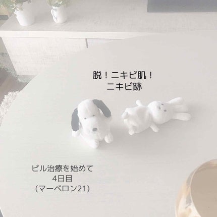 ドルマイシン軟膏(医薬品)/ゼリア新薬工業/その他を使ったクチコミ(1枚目)