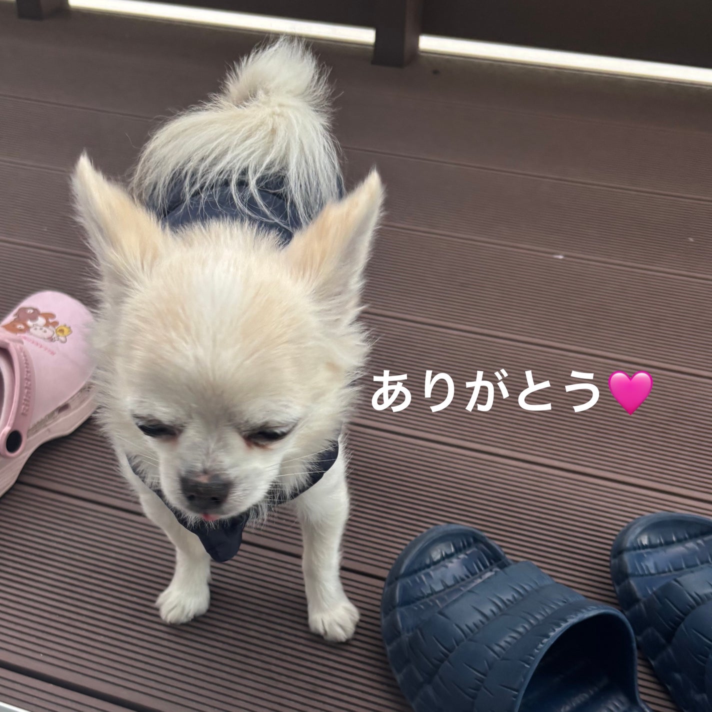 &honey Melty モイストリペア シャンプー1.0/モイストリペア ヘアトリートメント2.0/&honey/市販シャンプーを使ったクチコミ(8枚目)