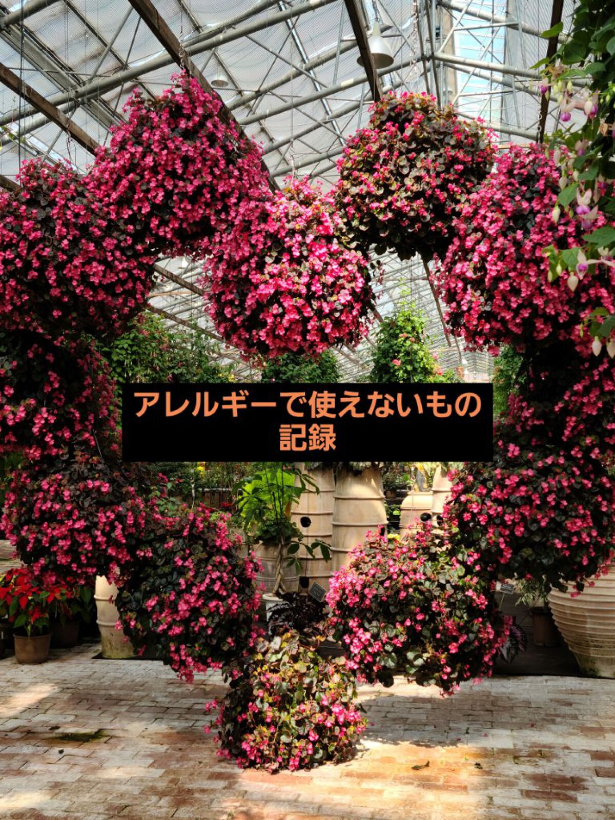 ヘナ 100％/ナイアード/ヘアカラーを使ったクチコミ（1枚目）