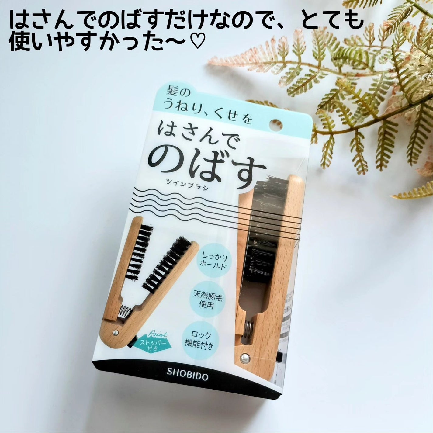 SPVミニツインブラシ/SHOBIDO/ヘアブラシを使ったクチコミ(4枚目)