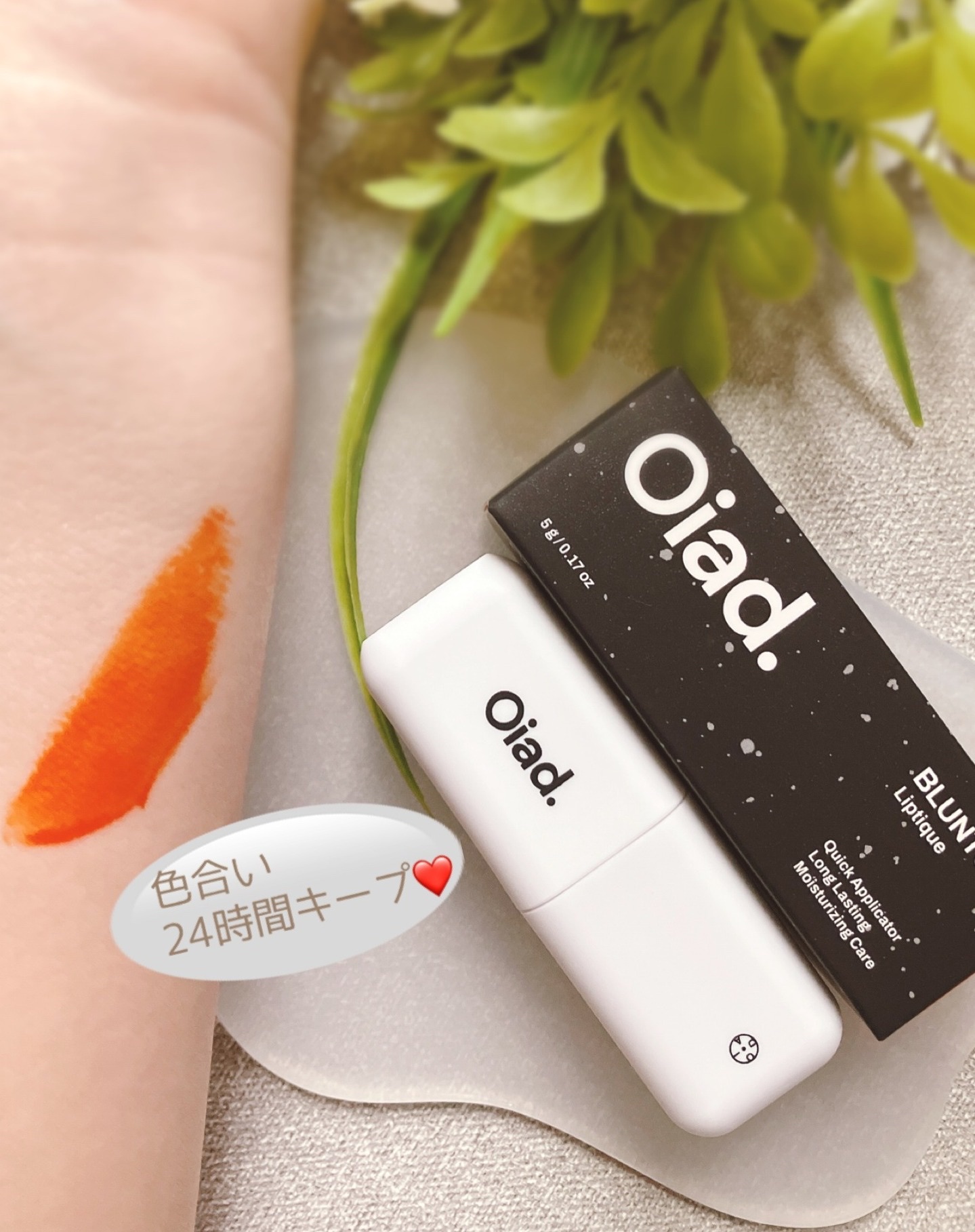 リップティーク/oiad/口紅を使ったクチコミ（3枚目）