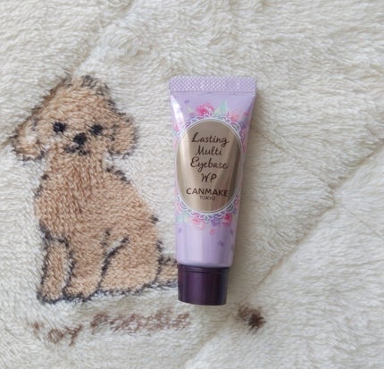 ラスティングマルチアイベース WP/キャンメイク/アイシャドウベースを使ったクチコミ(1枚目)