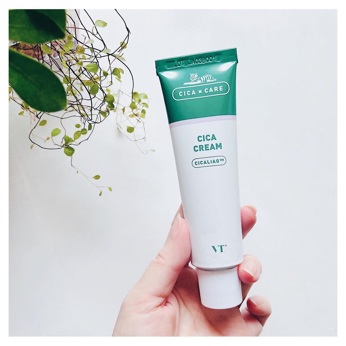 CICA クリーム/VT/フェイスクリームを使ったクチコミ(2枚目)