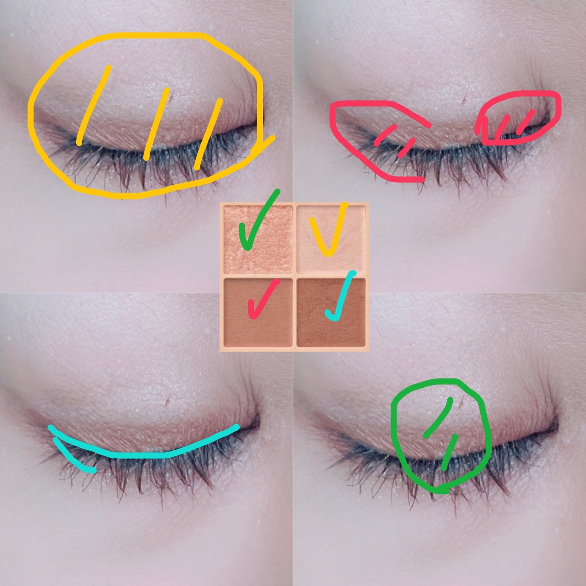 ベージュトーンアイシャドウ/CEZANNE/アイシャドウパレットを使ったクチコミ（2枚目）