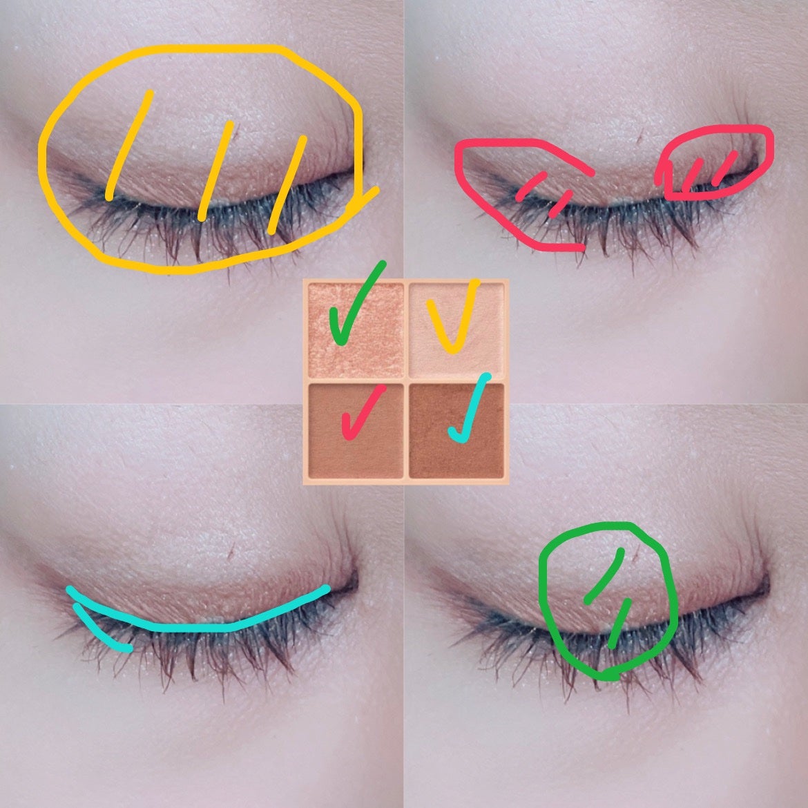 ベージュトーンアイシャドウ/CEZANNE/アイシャドウパレットを使ったクチコミ(2枚目)