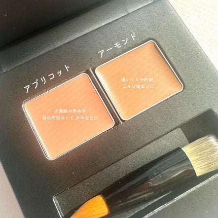 ロングウェア フィッティング コンシーラー/ブリリアージュ/パレットコンシーラーを使ったクチコミ(6枚目)