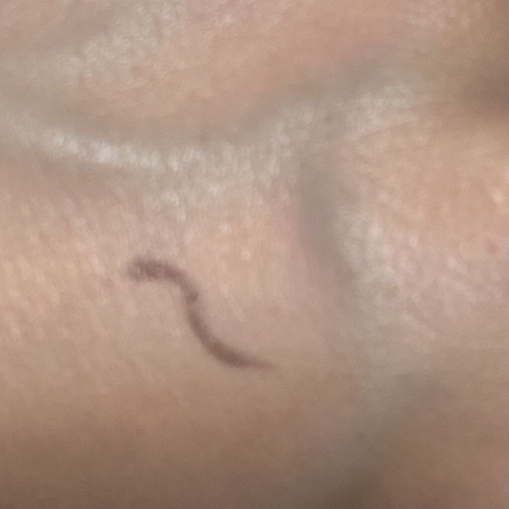 フレーミング アイブロウ リキッド ペン 04 グレー/SUQQU/リキッドアイブロウを使ったクチコミ（2枚目）