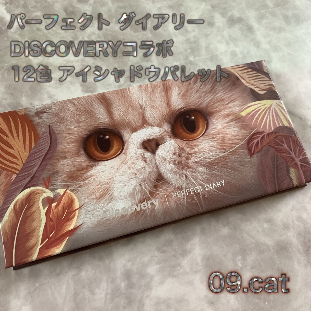 「密着アイライナー」クリームペンシル/デジャヴュ/ペンシルアイライナーを使ったクチコミ（2枚目）