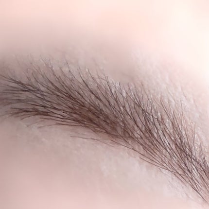 ブローシェーダー ウォーム/shu uemura/パウダーアイブロウの画像