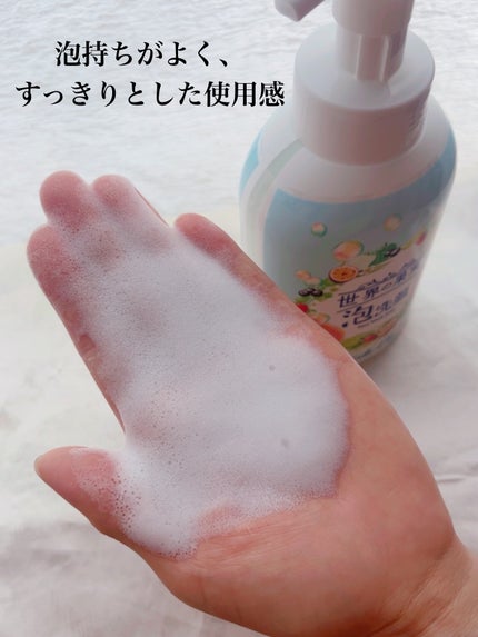 世界の果実 すっきり泡洗顔/世界の果実/泡洗顔を使ったクチコミ(5枚目)