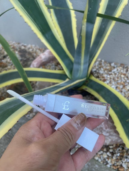 エテルナムリップセラム /エテルナム/リップ美容液を使ったクチコミ(3枚目)