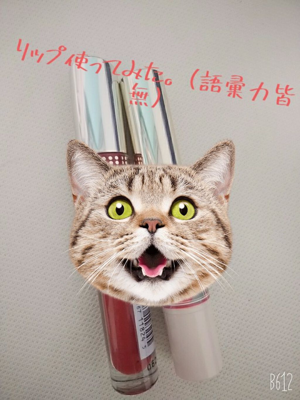 ステイオンバームルージュ/キャンメイク/口紅を使ったクチコミ(1枚目)