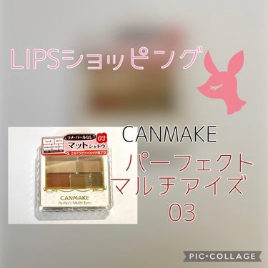 ＼LIPSショッピング 購入品／

こんにちは！ととこです。

♡キャンメイクパーフェクトマルチアイズ
     No.03アンティークテラコッタ

パーフェクトマルチアイズ05アーモンドモカを前から使