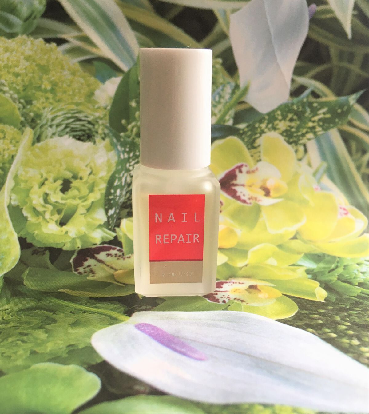 ネイル リペアセラム/ネイル リペアセラム/ネイルオイル・トリートメントを使ったクチコミ（1枚目）