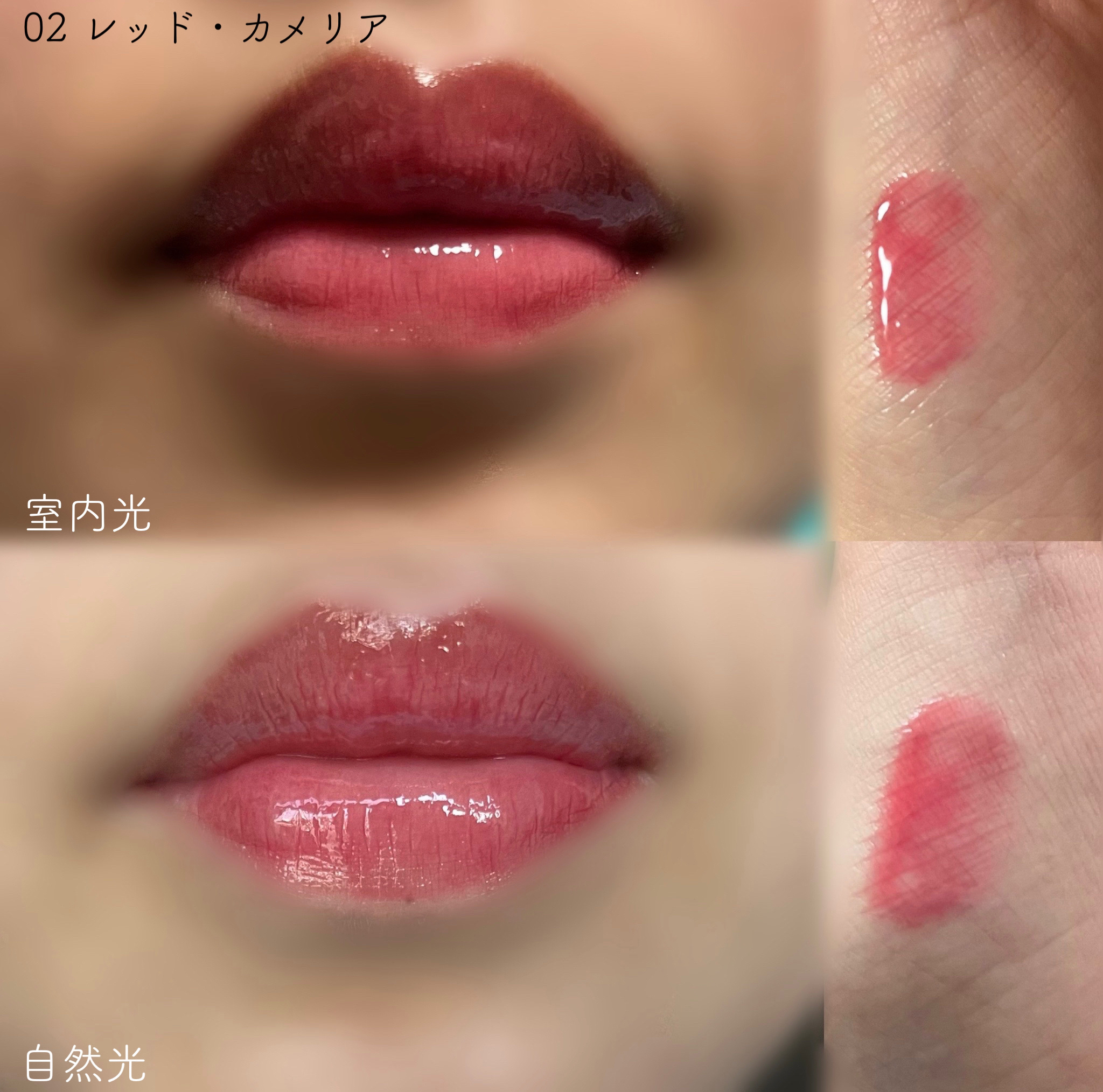 ナチュラルブルームリップオイルセラム 3色セット/PINATE/リップグロスを使ったクチコミ（2枚目）