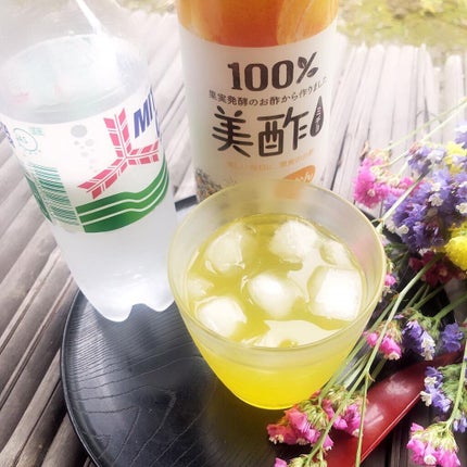 美酢 (希釈タイプ)/美酢(ミチョ)/その他飲むお酢を使ったクチコミ(3枚目)