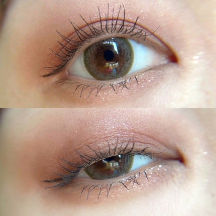 シルキースフレアイズ(マットタイプ)/キャンメイク/アイシャドウパレットを使ったクチコミ(1枚目)