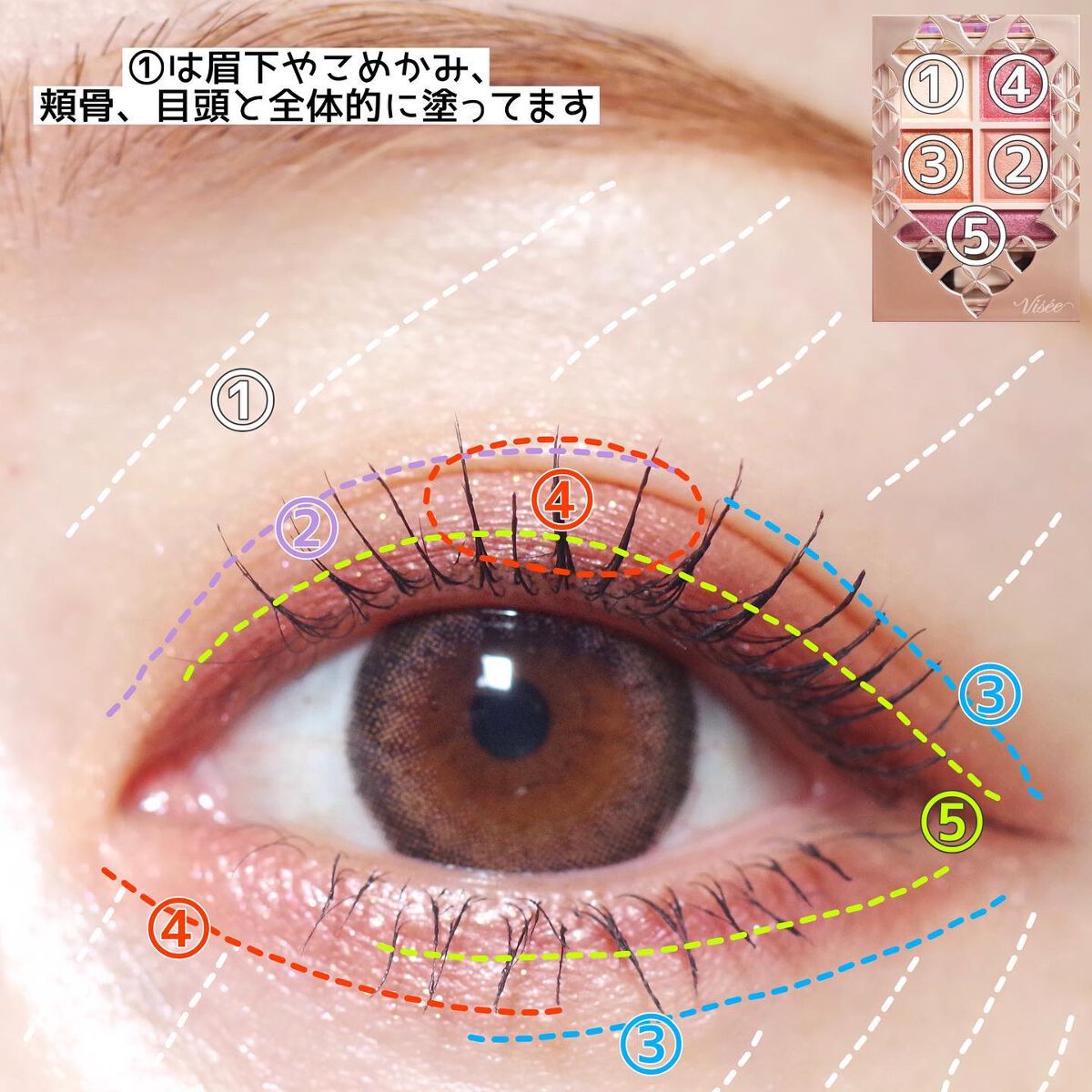 パノラマデザイン アイパレット/Visée/アイシャドウパレットを使ったクチコミ(5枚目)