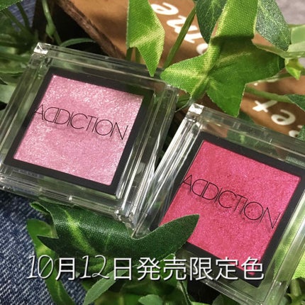 アディクション ザ アイシャドウ/ADDICTION/単色アイシャドウを使ったクチコミ(1枚目)