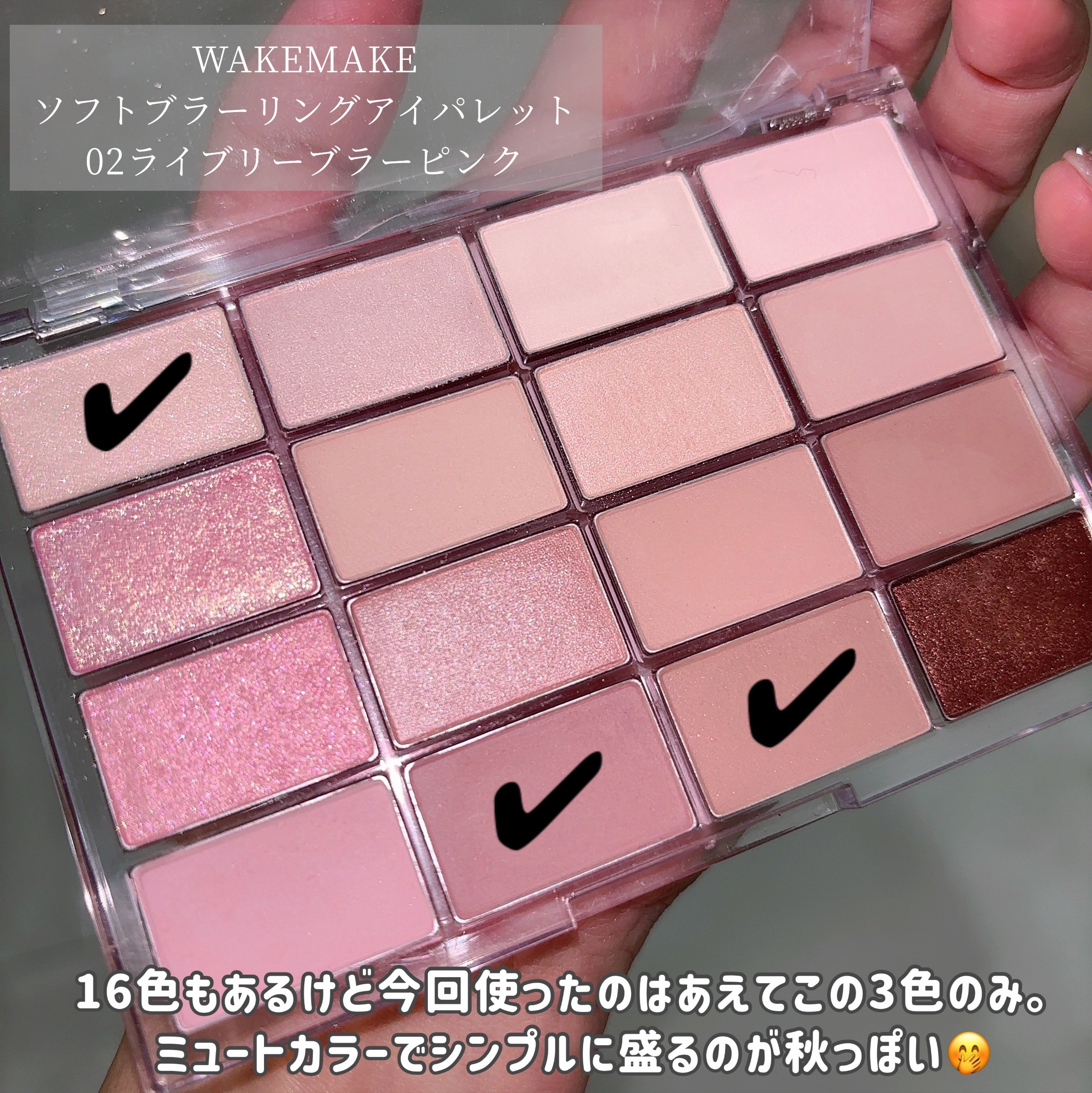 ポイントメイクアップブラシセット/ロージーローザ/メイクブラシを使ったクチコミ（2枚目）