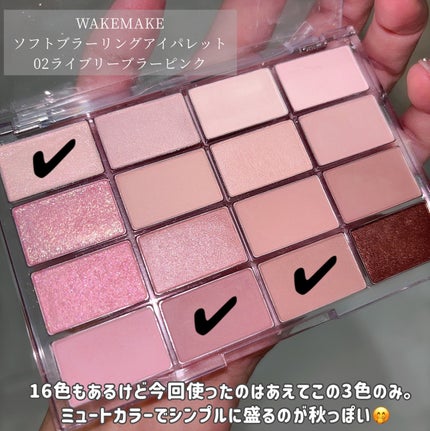 アイシャドウブラシセット/ロージーローザ/メイクブラシを使ったクチコミ(2枚目)
