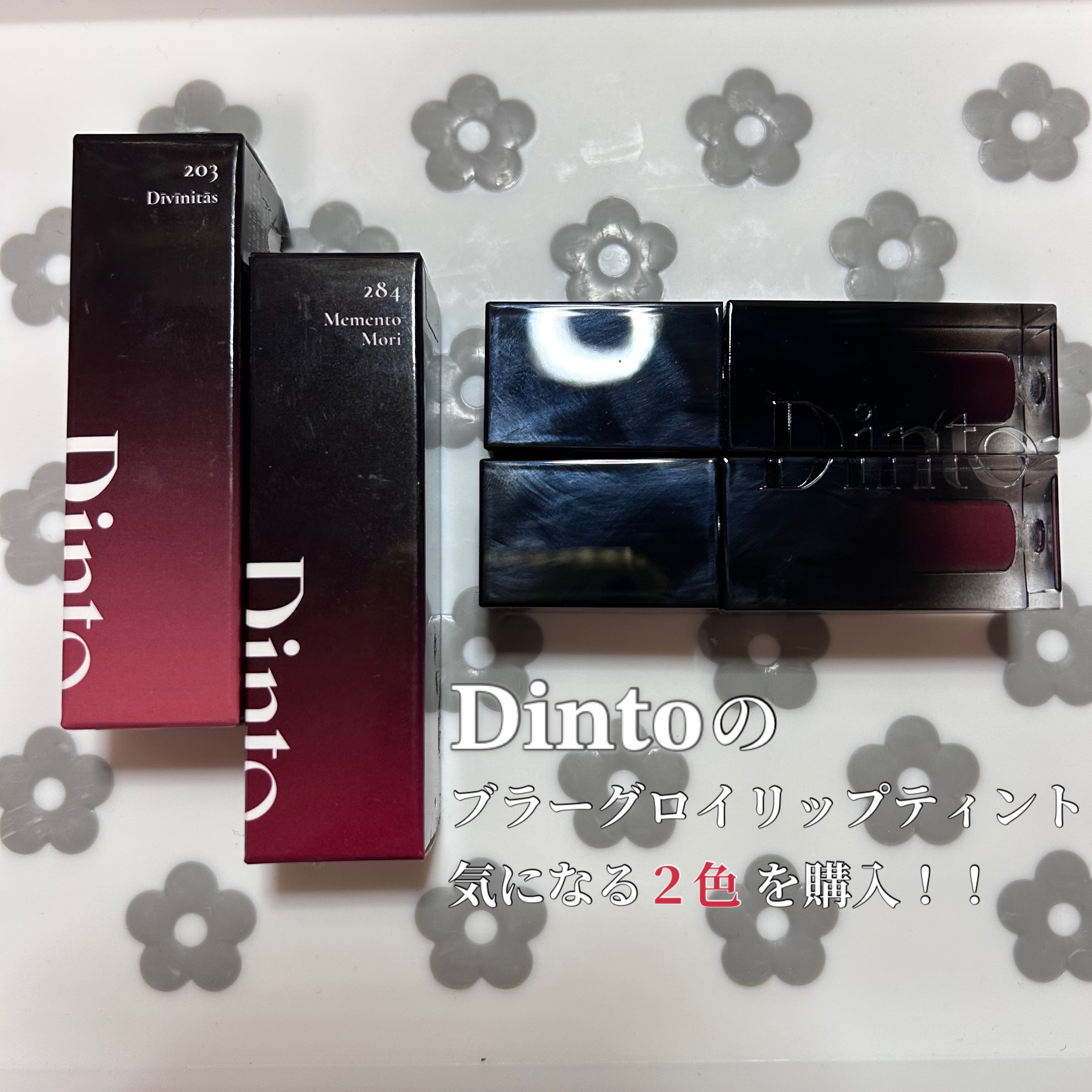 ブラーグロイリップティント/Dinto/リップティントを使ったクチコミ（1枚目）