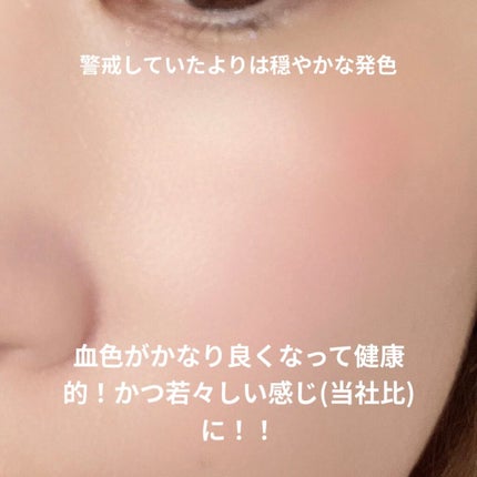 【旧品】パウダーチークス PW37 ローズレッド/キャンメイク/パウダーチークの画像