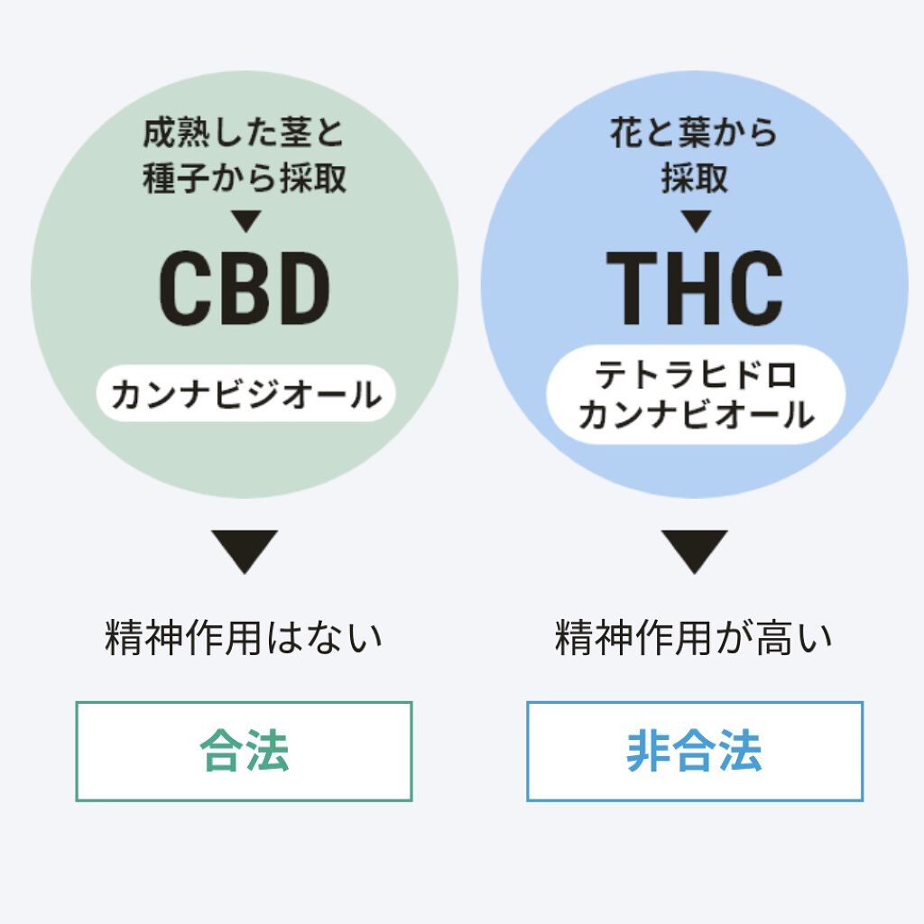 はアムウェイ　CBDスプレー　クリーム セット cbd コスメ・美容 アムウェイ CBDスプレー クリーム セット