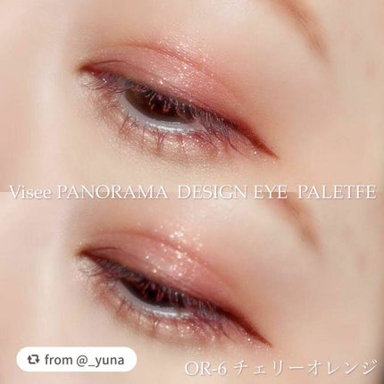パノラマデザイン アイパレット/Visée/アイシャドウパレットを使ったクチコミ(2枚目)