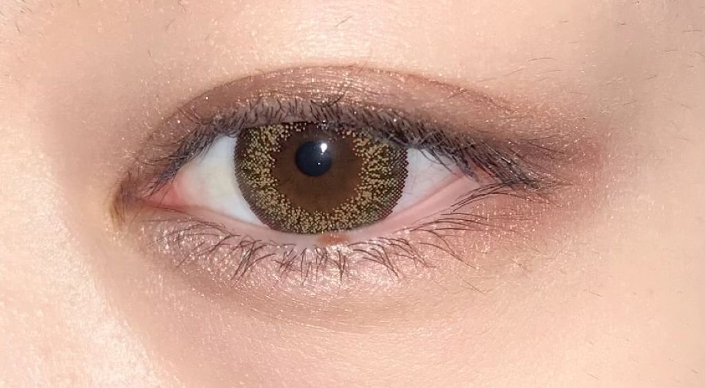 LB ニュアンスブラウンアイパレット/LB/アイシャドウパレットを使ったクチコミ（3枚目）