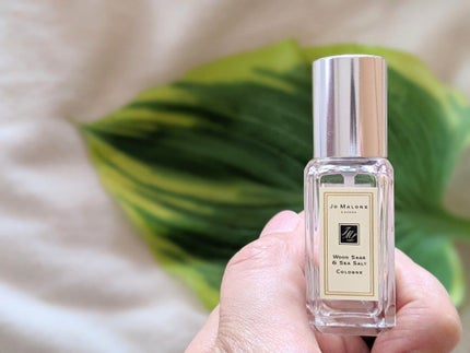Jo MALONE LONDON ウッド セージ & シー ソルト コロンのクチコミ「【ウッドセージ&シーソルト】by Jo Malone
今は遠出が出来ないけど、香りって記憶を.....」(1枚目)