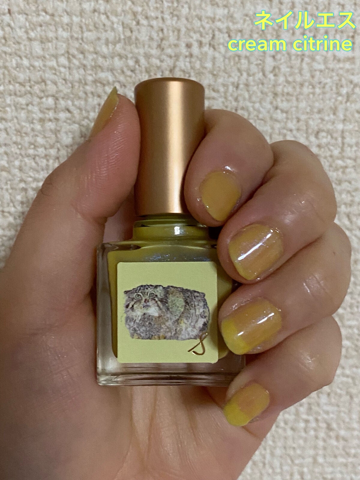 ネイルエス/ nail S(ネイルエス) /マニキュアを使ったクチコミ(1枚目)
