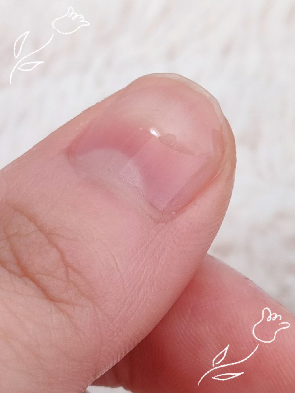 ポニキウムオイル/enieni /ネイルオイル・トリートメントを使ったクチコミ（3枚目）