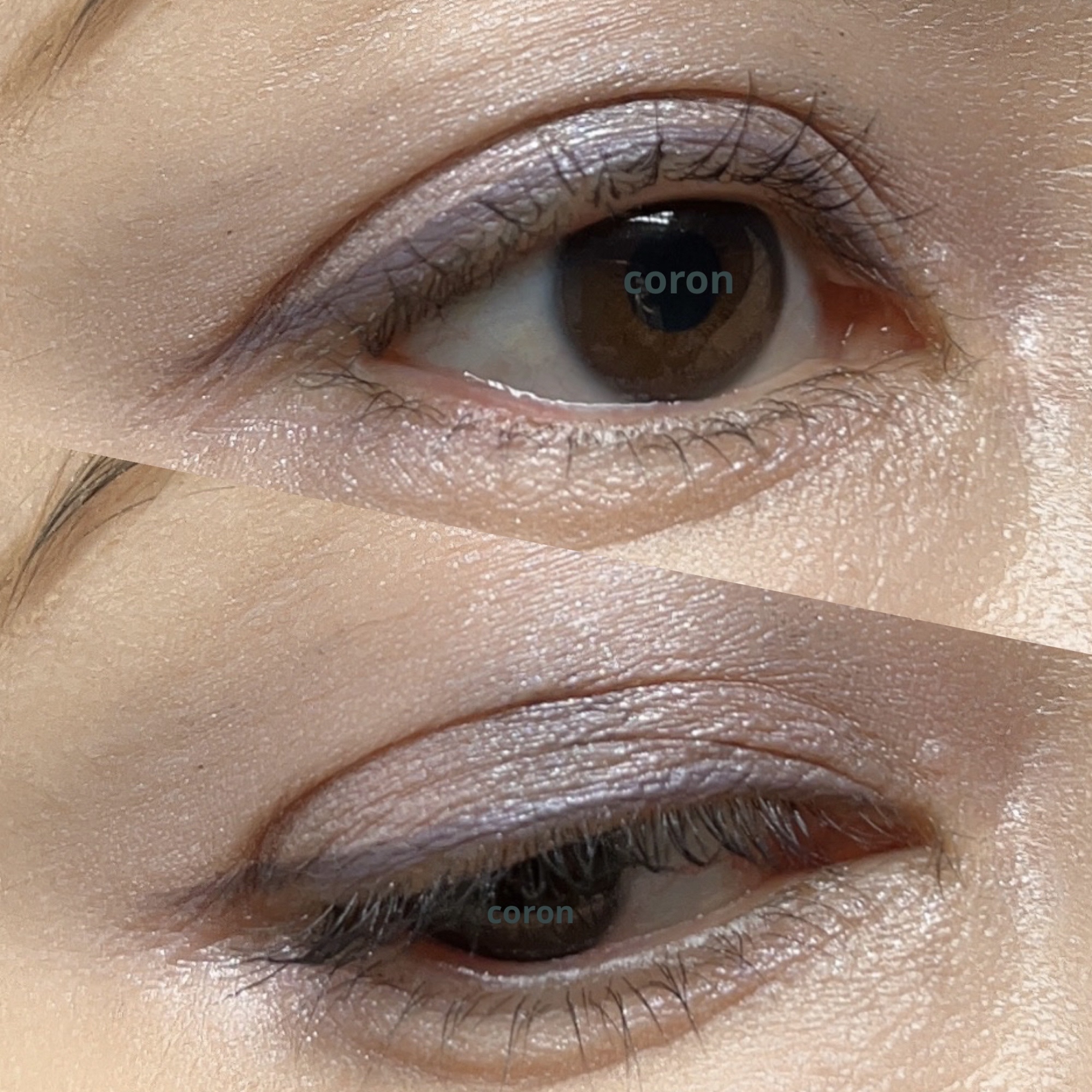 「塗るつけまつげ」ロングタイプ/デジャヴュ/マスカラを使ったクチコミ（2枚目）