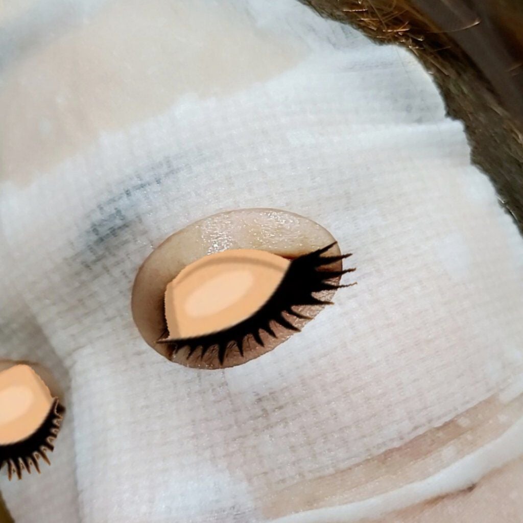 ダブルシートモイスチャーマスク/フリープラス/シートマスク・パックを使ったクチコミ(4枚目)