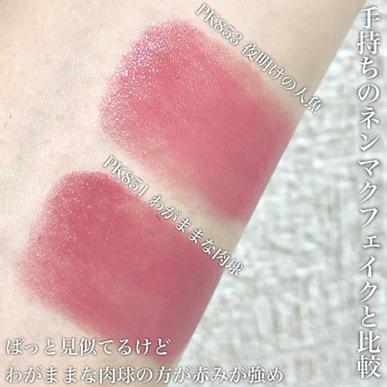 ネンマクフェイク ルージュ/Visée/口紅を使ったクチコミ(4枚目)