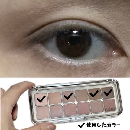 プロ アイ パレット エアー/CLIO/アイシャドウパレットを使ったクチコミ(5枚目)