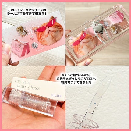 プロ アイ パレット エアー/CLIO/アイシャドウパレットを使ったクチコミ(8枚目)